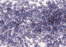 Бисер Япония MIYUKI Seed Beads 15/0 5г 1884 фиолетовое золото блестящий
