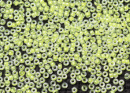 Бисер Япония MIYUKI Seed Beads 15/0 5г 1119 светящаяся известковая помощь