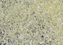 Бисер Япония MIYUKI Seed Beads 15/0 5г 1527 кристалл игристый сельдерей линия внутри