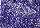Бисер Япония круглый 11/0 10г 0028DF кобальт матовый, серебряная линия внутри