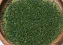 Бисер Япония MIYUKI Seed Beads 15/0 5г 0331 светло-топаз радужный изумрудная линия внутри